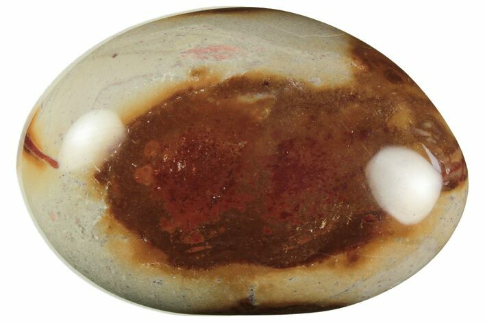 Polished Polychrome Jasper Palm Stone - Madagascar #217852